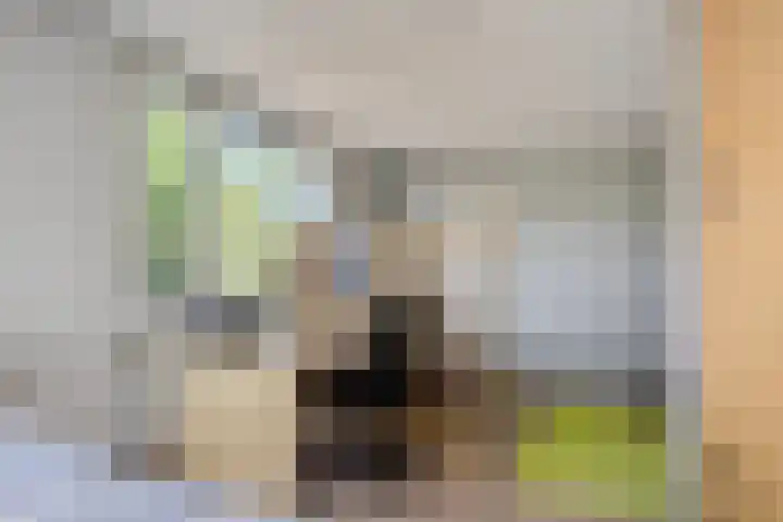 Generaal Overakkerstraat 17 Almere thumbnail 29