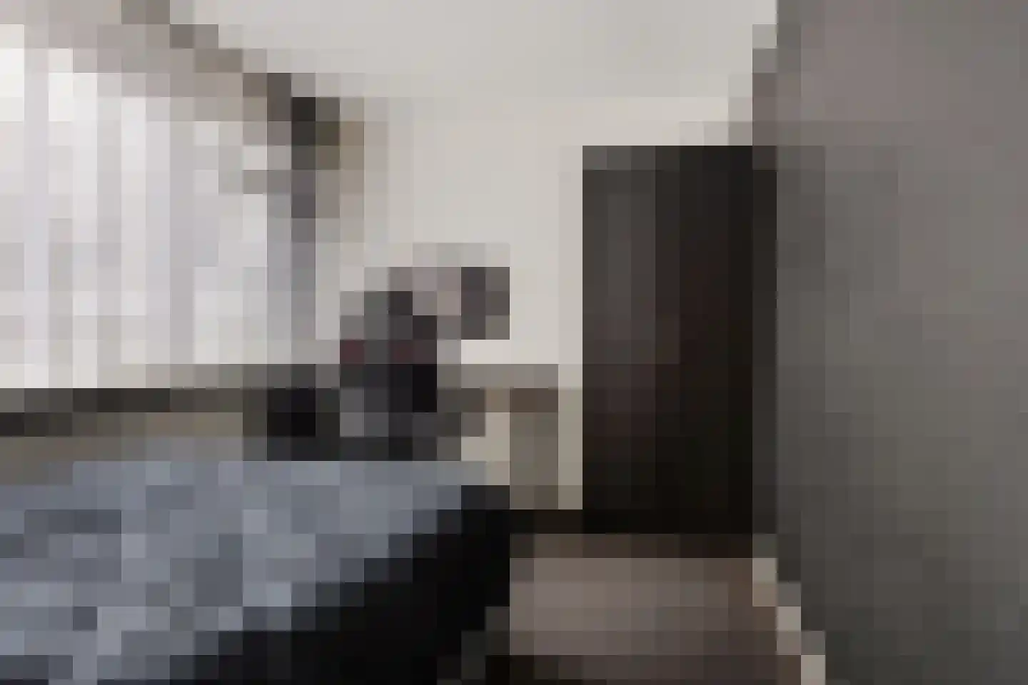 Generaal Pattonlaan 110 Eindhoven thumbnail 22