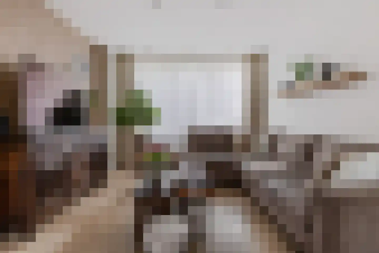 Generaal Pattonlaan 110 Eindhoven thumbnail 7