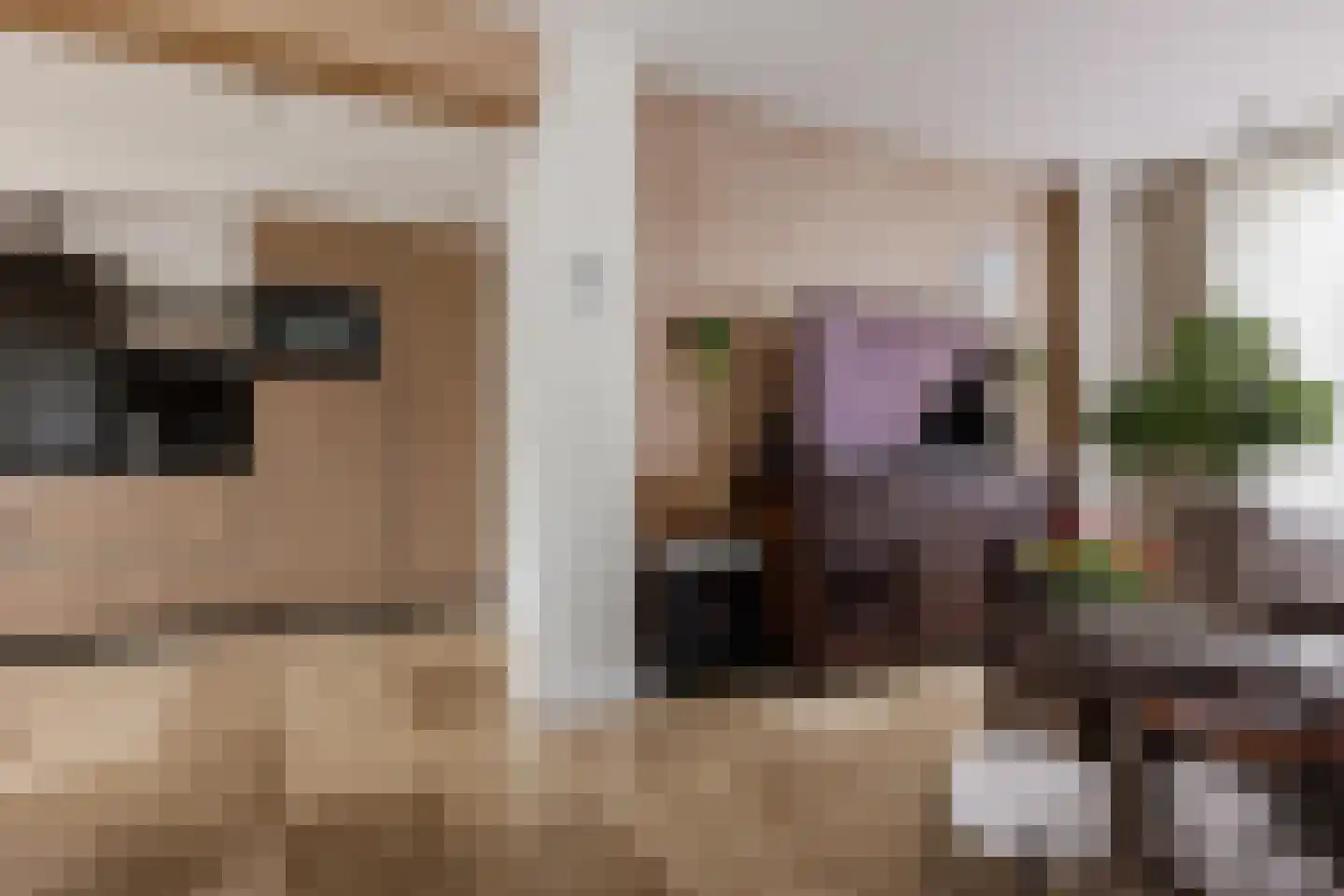 Generaal Pattonlaan 110 Eindhoven thumbnail 8