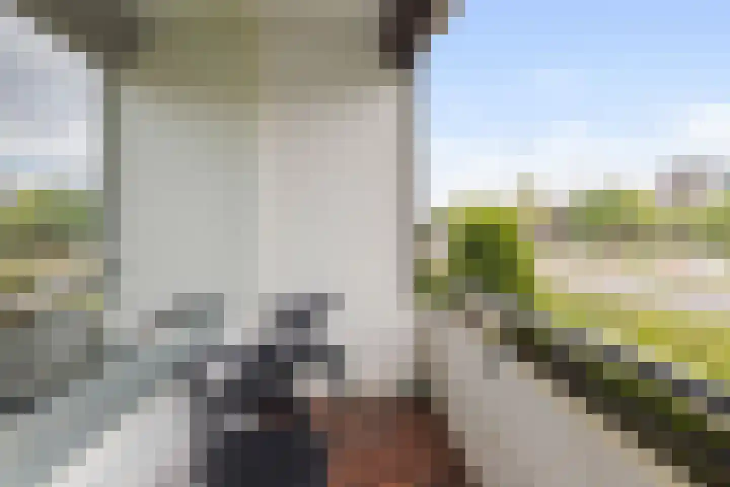 Generaal Pattonlaan 13 Eindhoven thumbnail 12