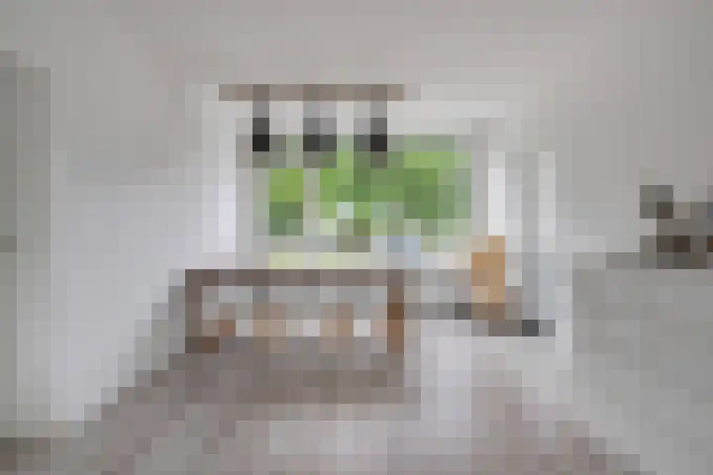 Generaal Pattonlaan 13 Eindhoven thumbnail 6