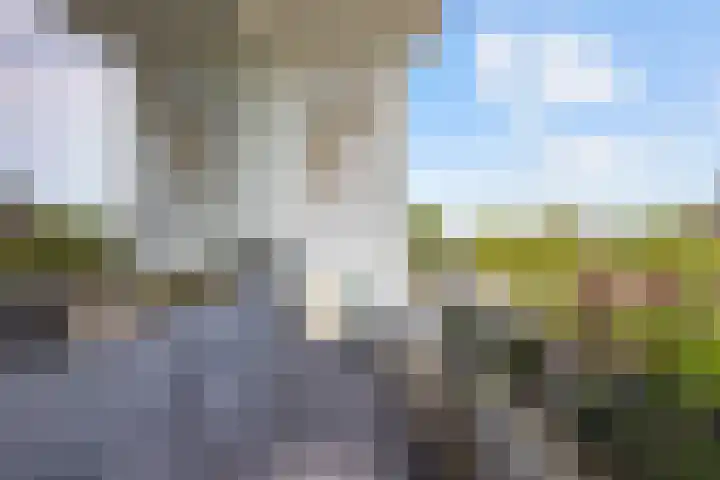 Generaal Pattonlaan 33 Eindhoven thumbnail 20