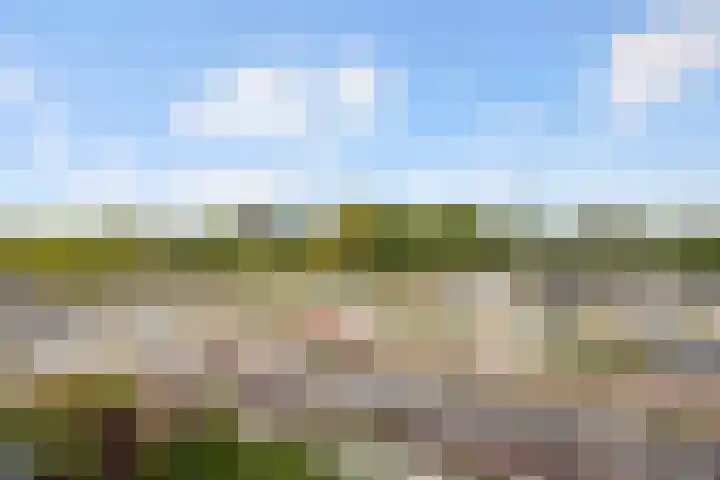 Generaal Pattonlaan 33 Eindhoven thumbnail 22