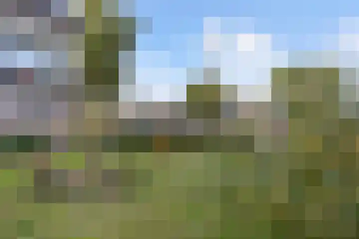 Generaal Pattonlaan 33 Eindhoven thumbnail 25