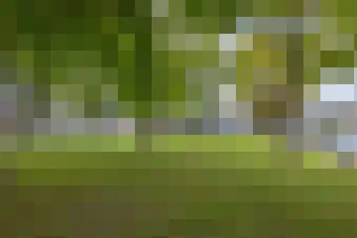 Generaal Pattonlaan 33 Eindhoven thumbnail 26