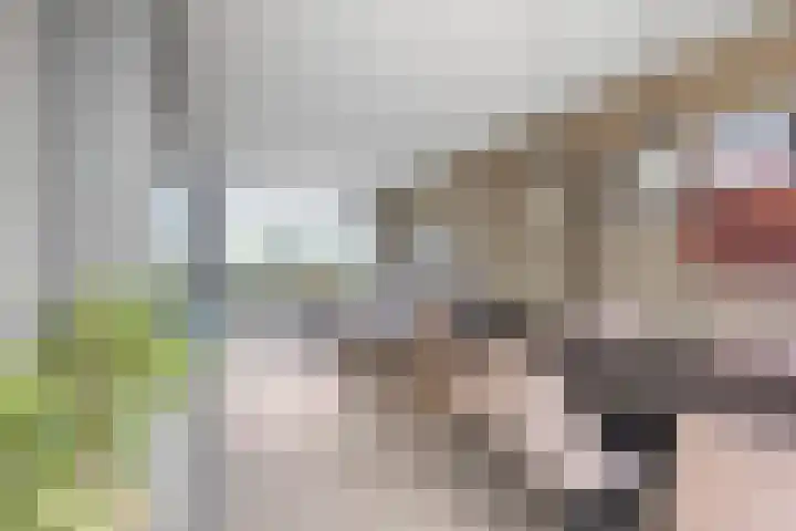 Generaal Pattonlaan 33 Eindhoven thumbnail 8