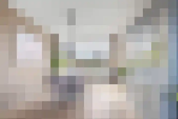 Generaal Pattonlaan 33 Eindhoven thumbnail 9