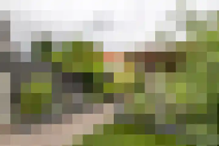 Generaal Pironstraat 10 Leerdam thumbnail 44