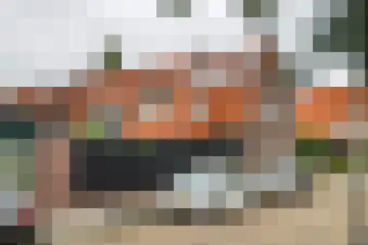 Generaal Pironstraat 10 Leerdam thumbnail 50