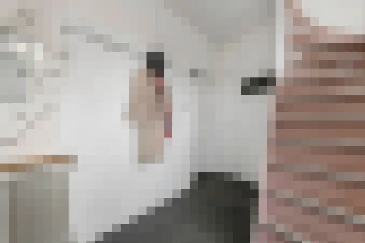 Generaal Pironstraat 24 Leerdam thumbnail 6