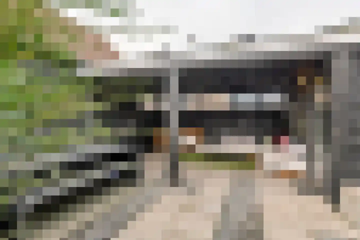 Generaal Pironstraat 24 Leerdam thumbnail 11