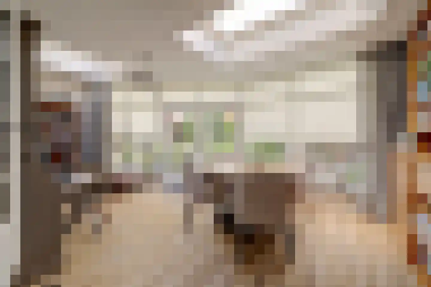 Generaal Pironstraat 7 Leerdam thumbnail 12