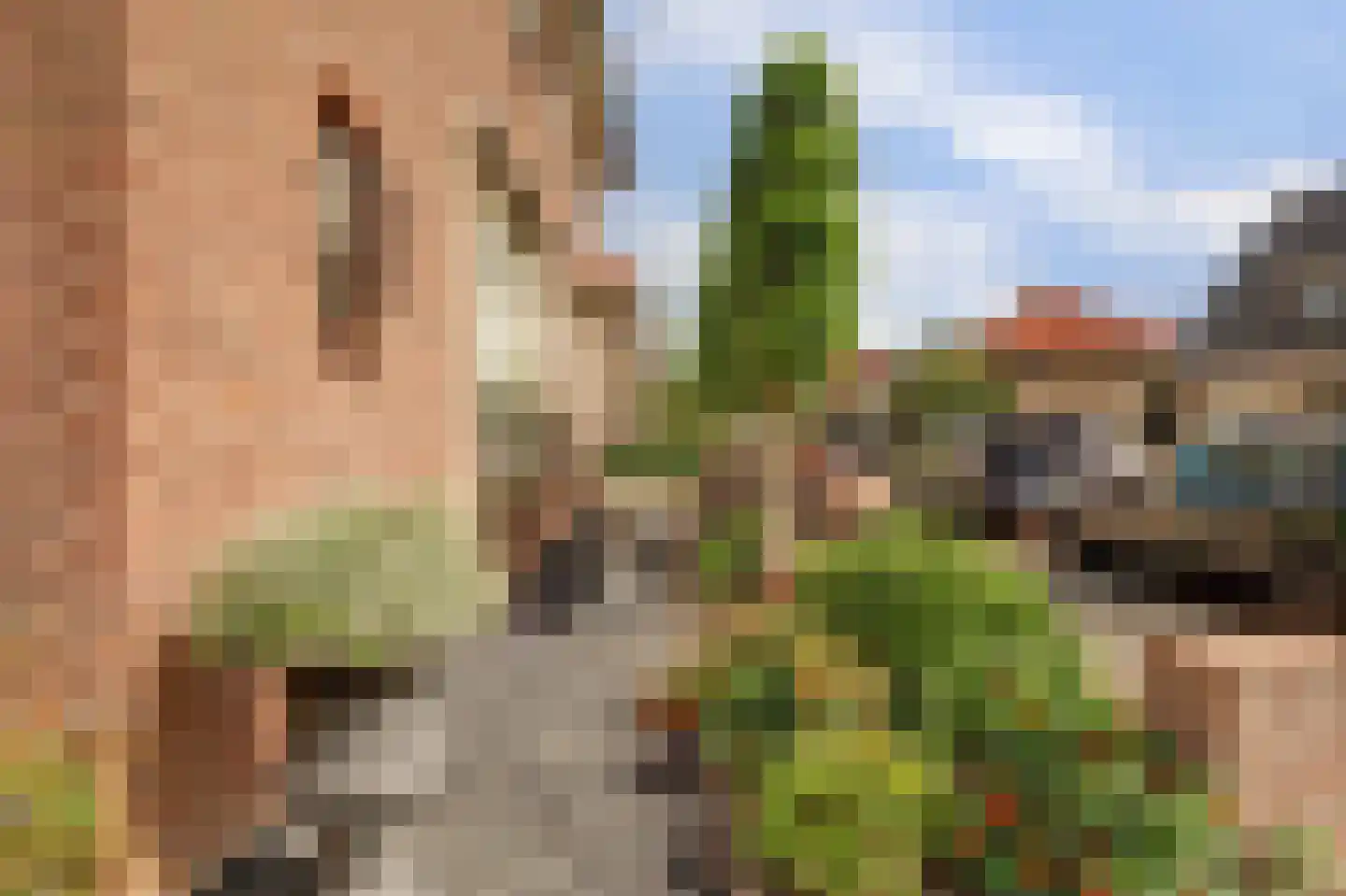 Generaal Pironstraat 7 Leerdam thumbnail 56