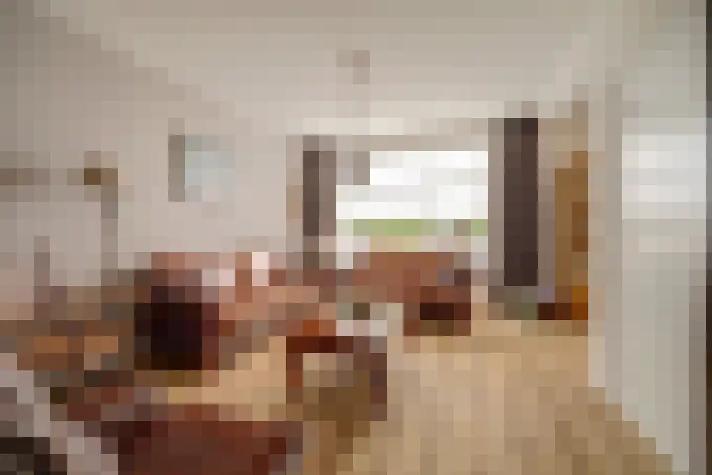 Generaal Pironstraat 7 Leerdam thumbnail 7