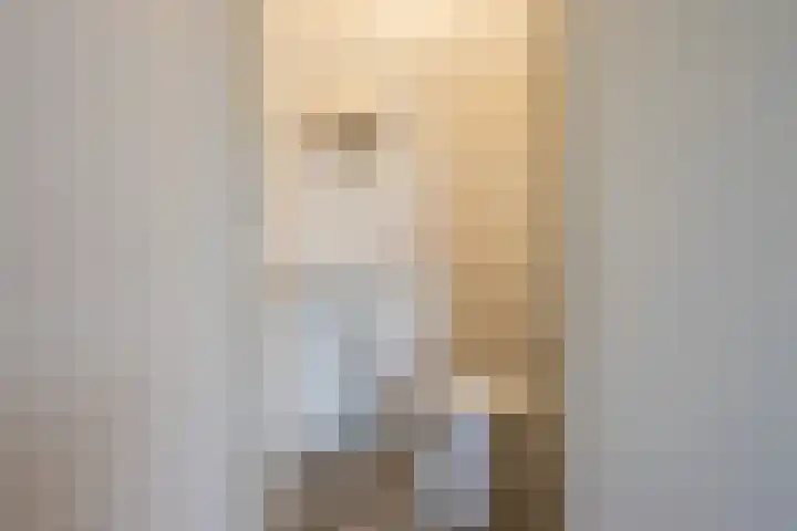 Generaal S.H. Spoorlaan 1 Koekange thumbnail 14