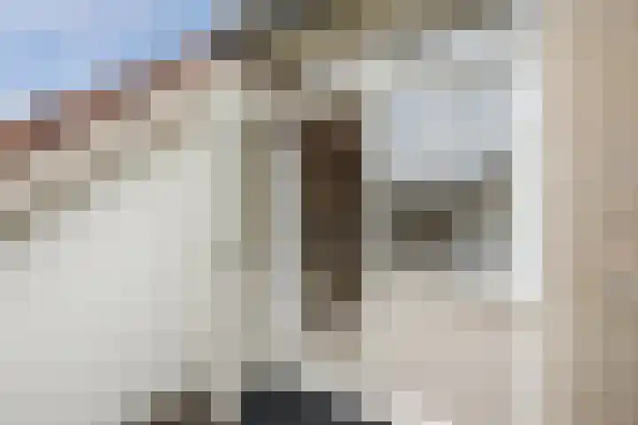 Generaal S.H. Spoorlaan 1 Koekange thumbnail 18