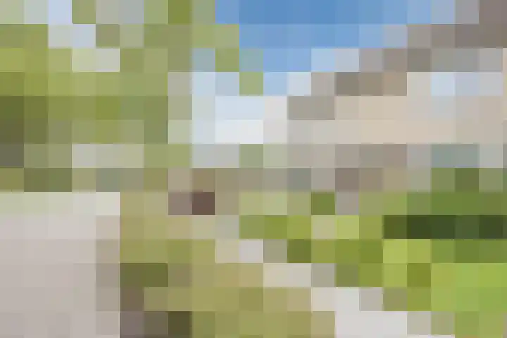 Generaal S.H. Spoorlaan 1 Koekange thumbnail 35