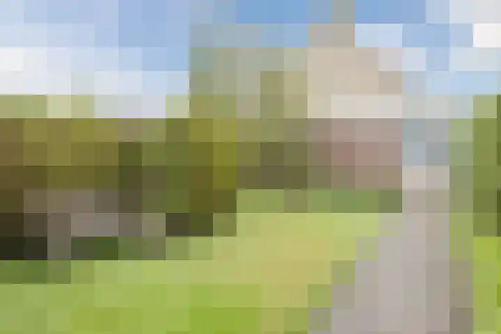 Generaal S.H. Spoorlaan 1 Koekange thumbnail 39