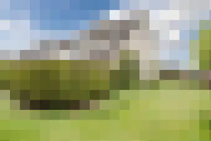 Generaal S.H. Spoorlaan 1 Koekange thumbnail 4