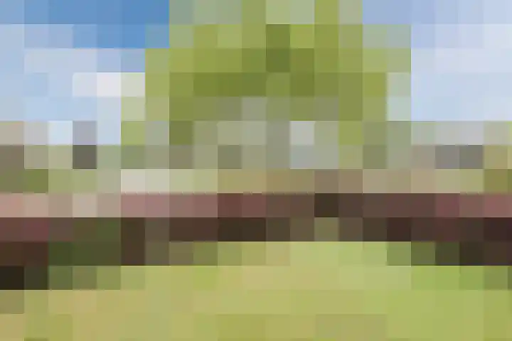 Generaal S.H. Spoorlaan 1 Koekange thumbnail 41