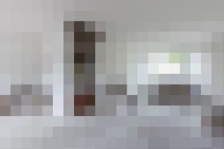 Generaal S.H. Spoorlaan 1 Koekange thumbnail 6