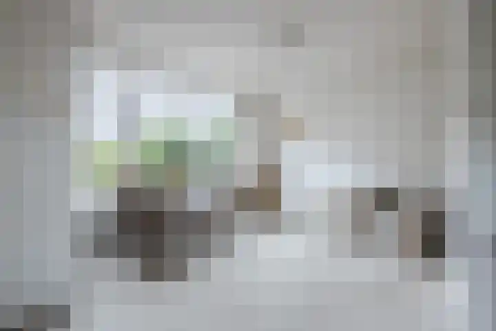 Generaal S.H. Spoorlaan 1 Koekange thumbnail 9