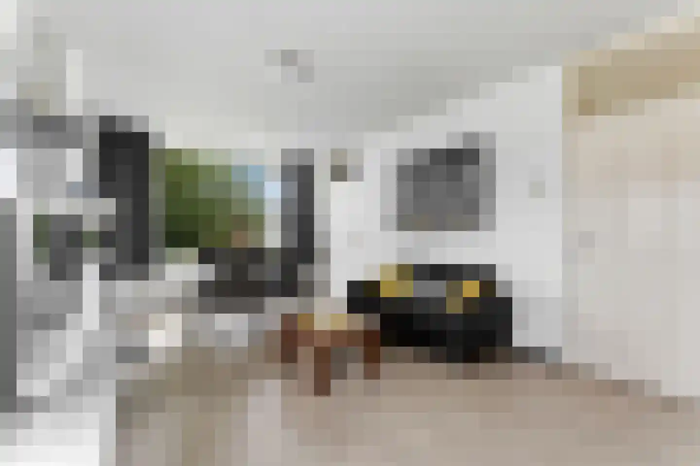 Generaal S.H. Spoorstraat 329 Dordrecht thumbnail 4