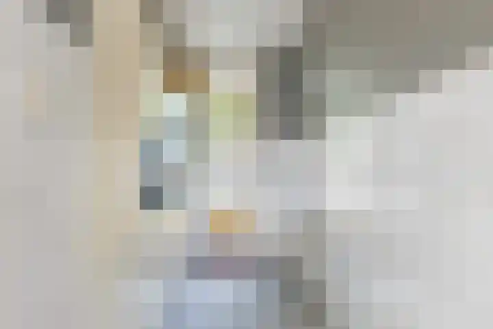 Generaal S.H. Spoorstraat 353 Dordrecht thumbnail 16
