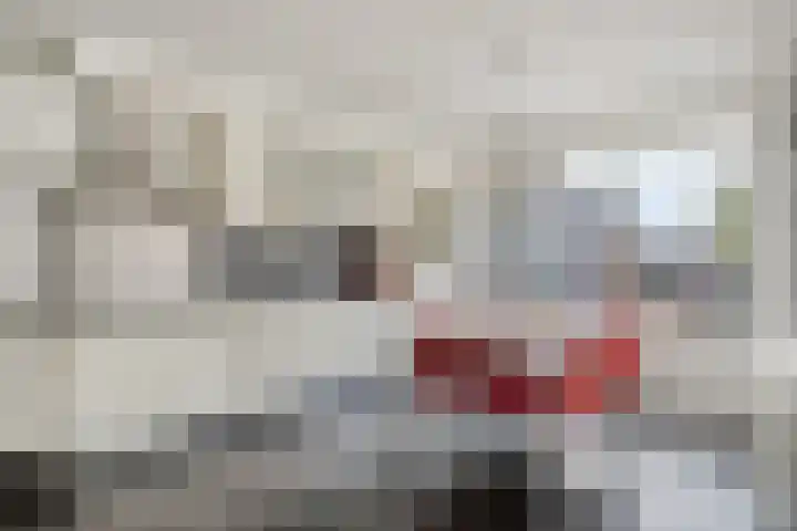 Generaal Sikorskistraat 14 Axel thumbnail 10