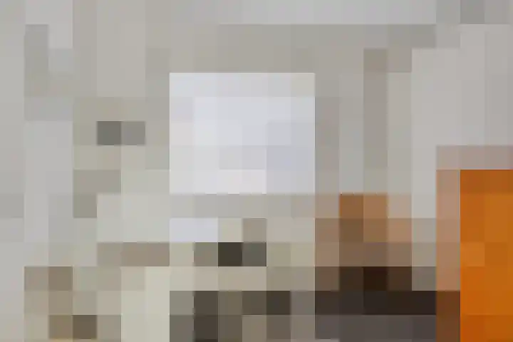 Generaal Sikorskistraat 14 Axel thumbnail 13
