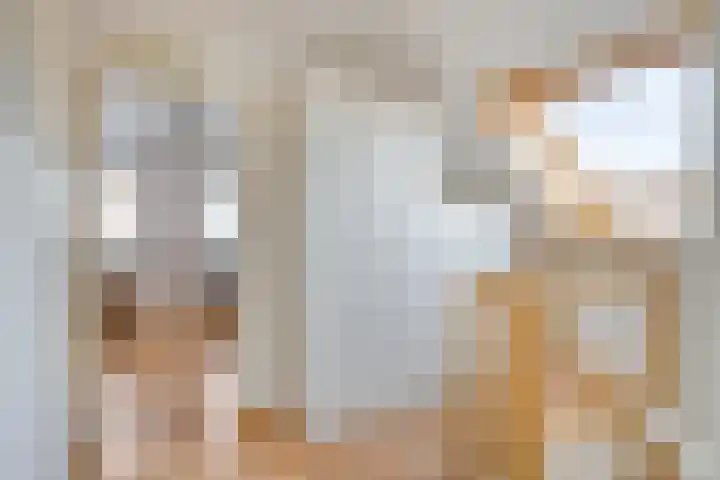 Generaal Sikorskistraat 14 Axel thumbnail 15