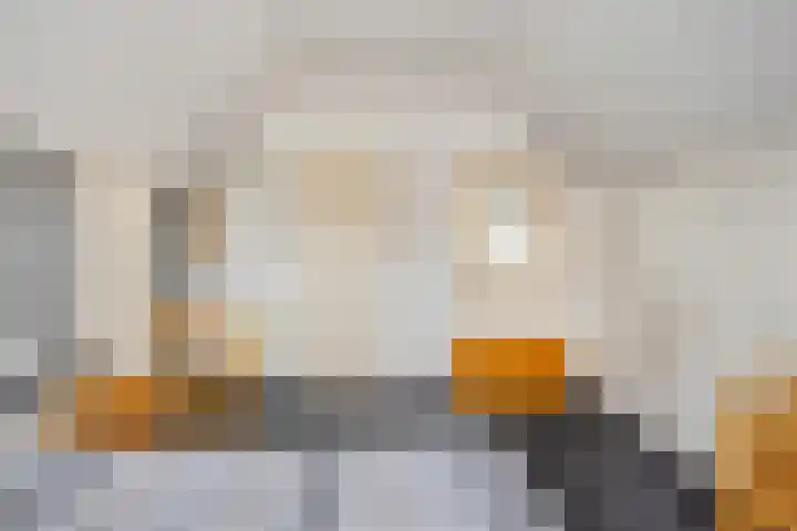 Generaal Sikorskistraat 14 Axel thumbnail 17