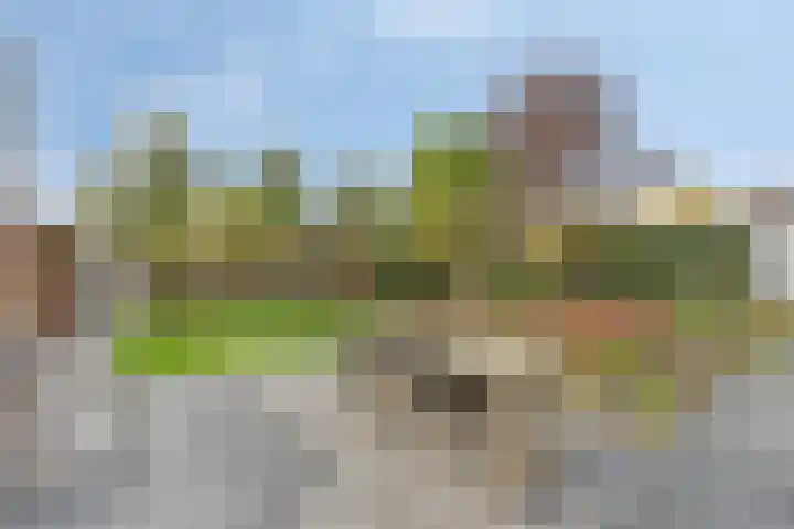 Generaal Sikorskistraat 14 Axel thumbnail 25