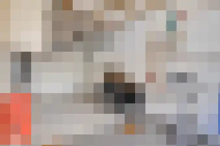 Generaal Sikorskistraat 14 Axel thumbnail 28