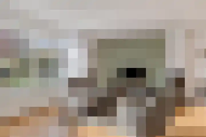 Generaal Sikorskistraat 14 Axel thumbnail 6