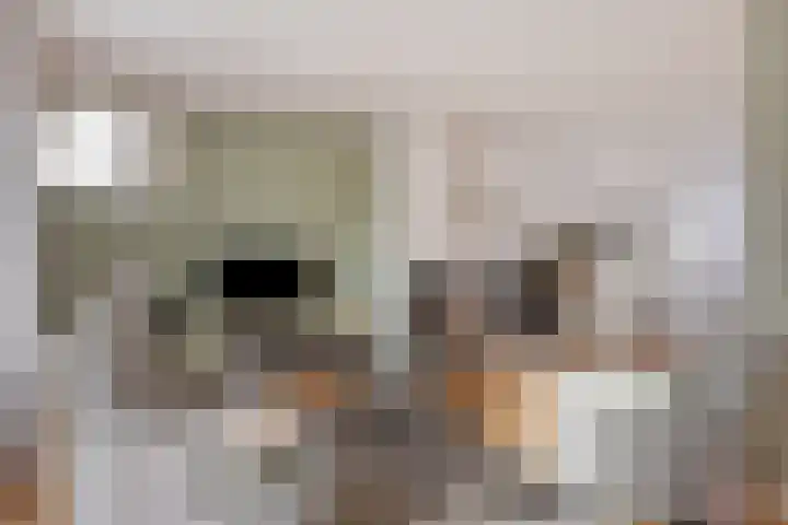Generaal Sikorskistraat 14 Axel thumbnail 7