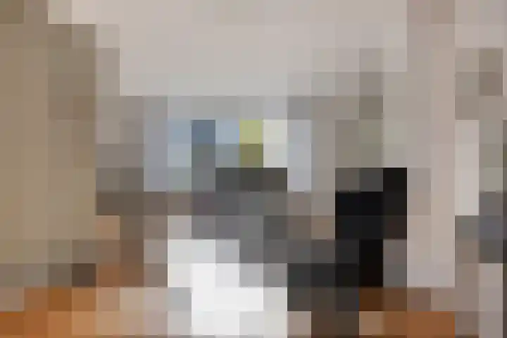 Generaal Sikorskistraat 14 Axel thumbnail 8