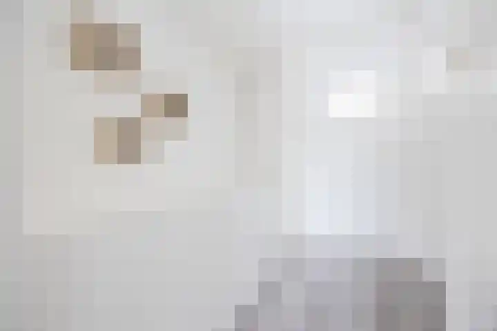 Generaal Sikorskistraat 9 Axel thumbnail 13