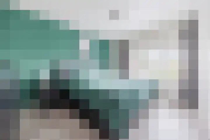 Generaal Sikorskistraat 9 Axel thumbnail 14