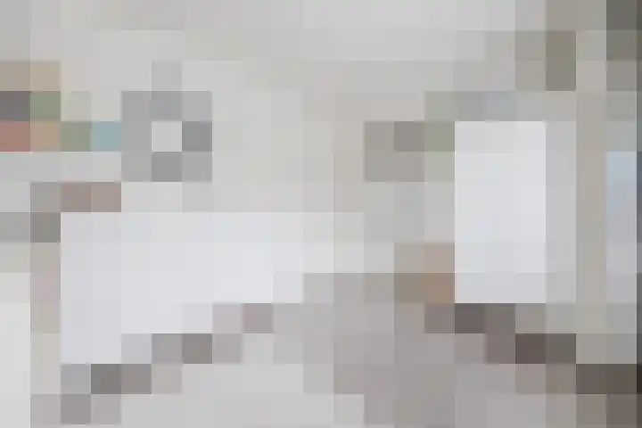 Generaal Sikorskistraat 9 Axel thumbnail 17