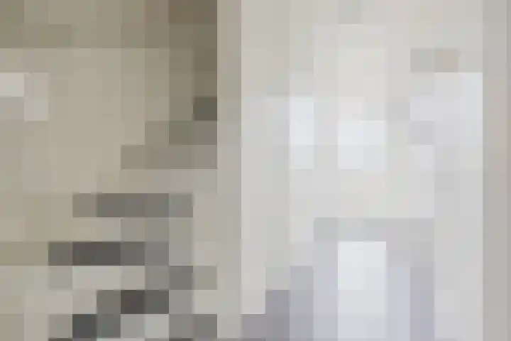 Generaal Sikorskistraat 9 Axel thumbnail 6