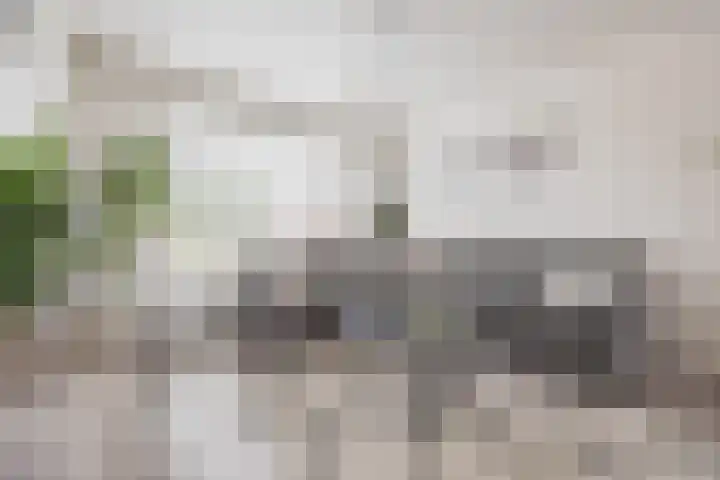 Generaal Sikorskistraat 9 Axel thumbnail 7