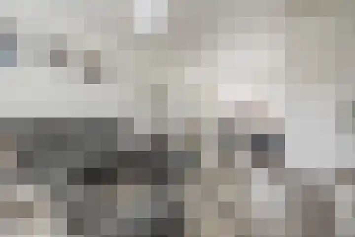 Generaal Sikorskistraat 9 Axel thumbnail 8