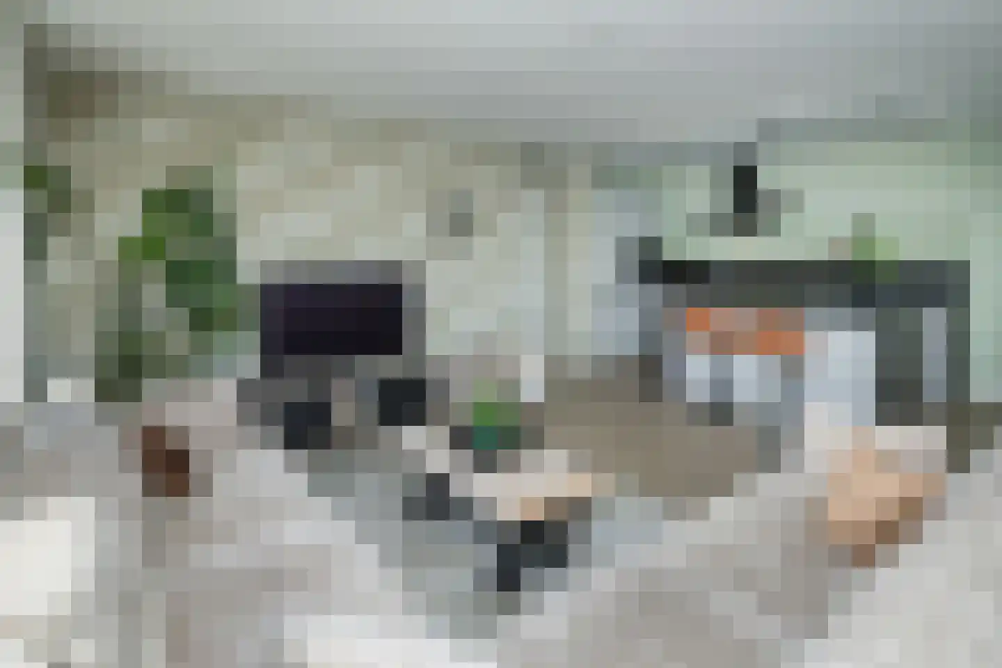 Generaal Smutsstraat 135 Ridderkerk thumbnail 7