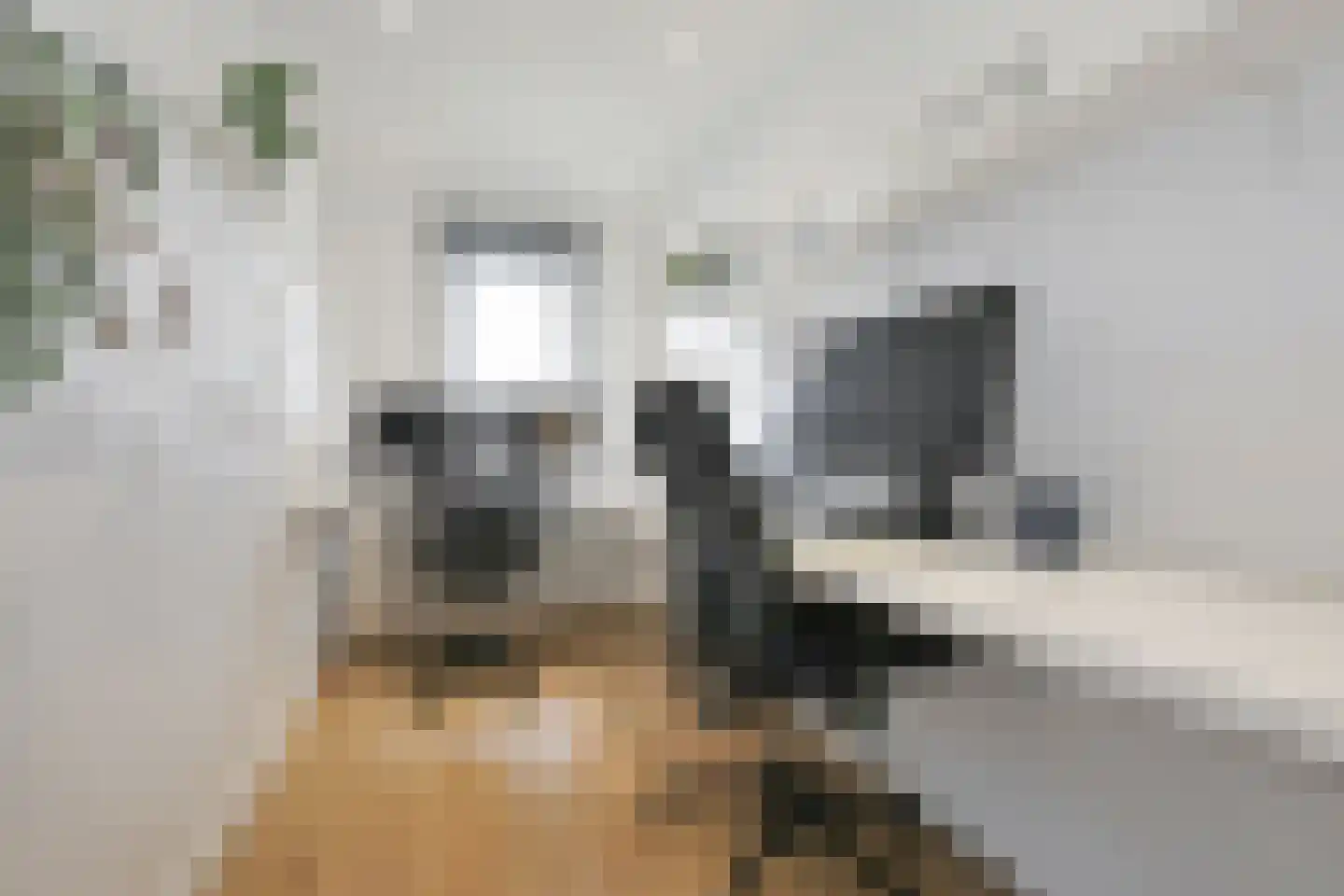 Generaal Snijdersplantsoen 1 Badhoevedorp thumbnail 27