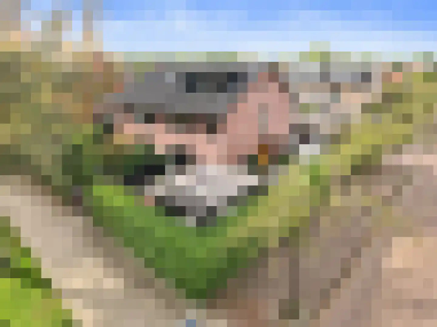 Generaal Snijdersplantsoen 1 Badhoevedorp thumbnail 4