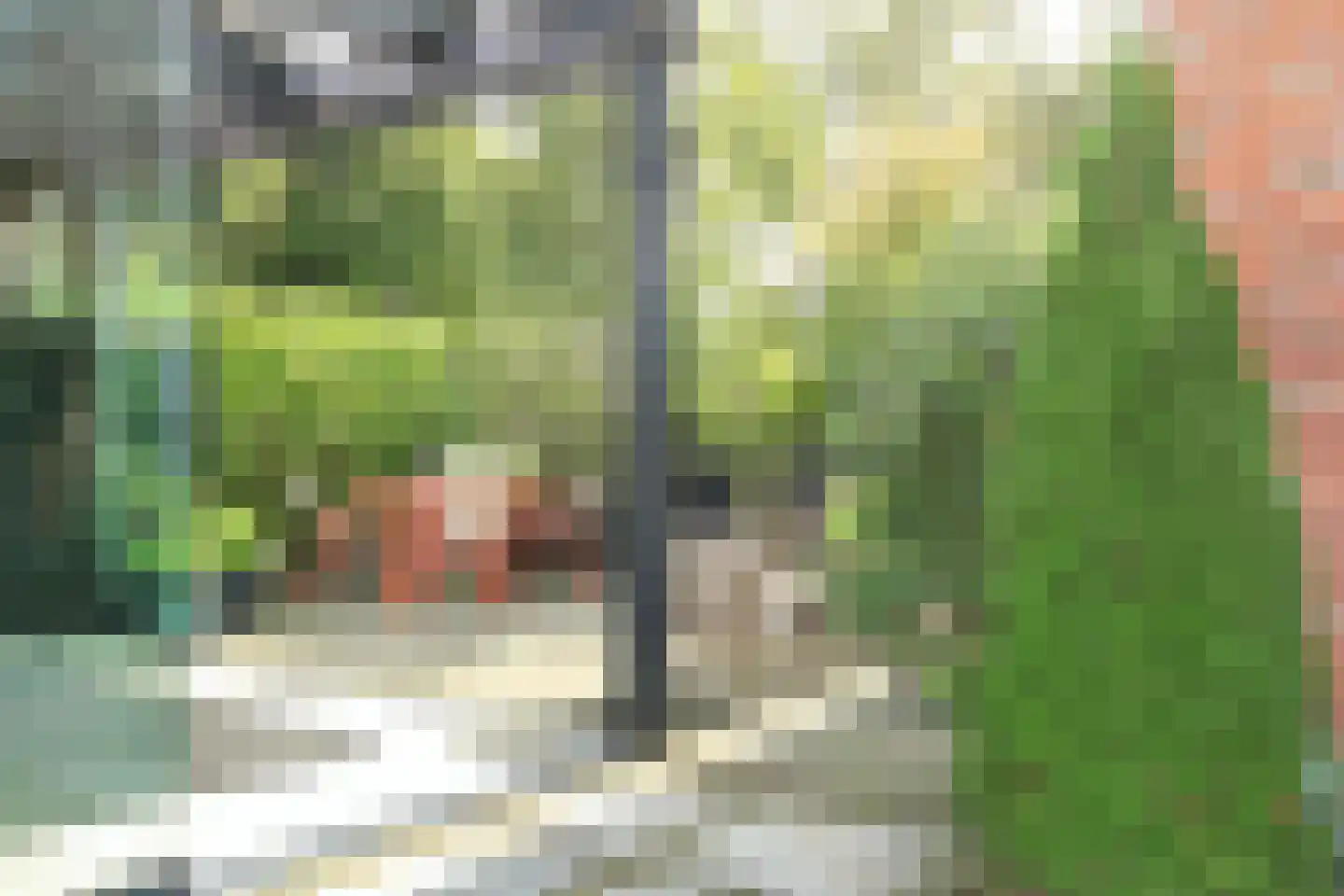 Generaal Snijdersplantsoen 1 Badhoevedorp thumbnail 40
