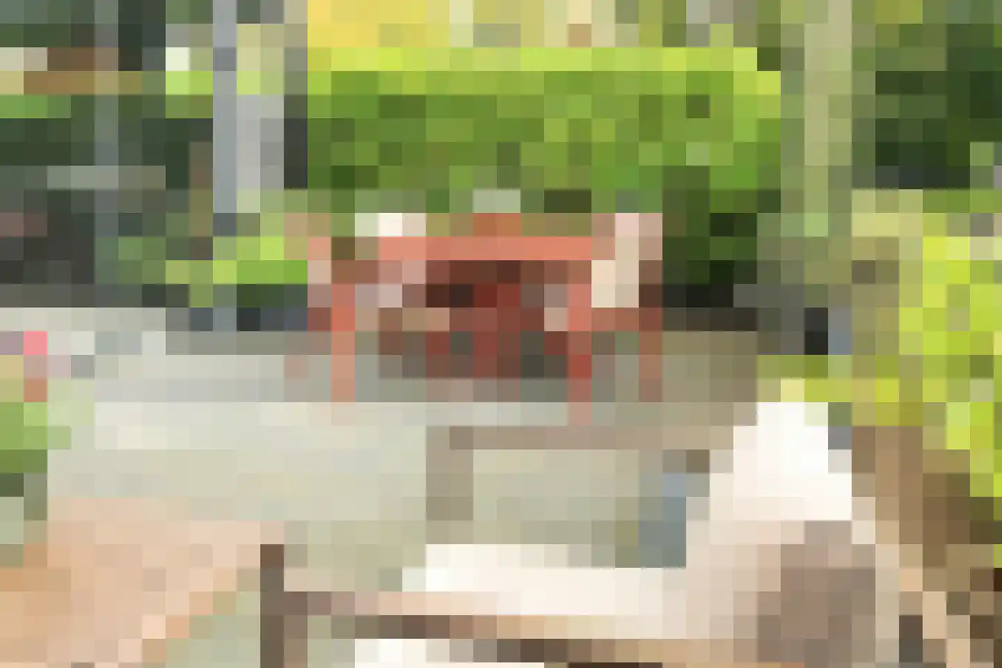 Generaal Snijdersplantsoen 1 Badhoevedorp thumbnail 43
