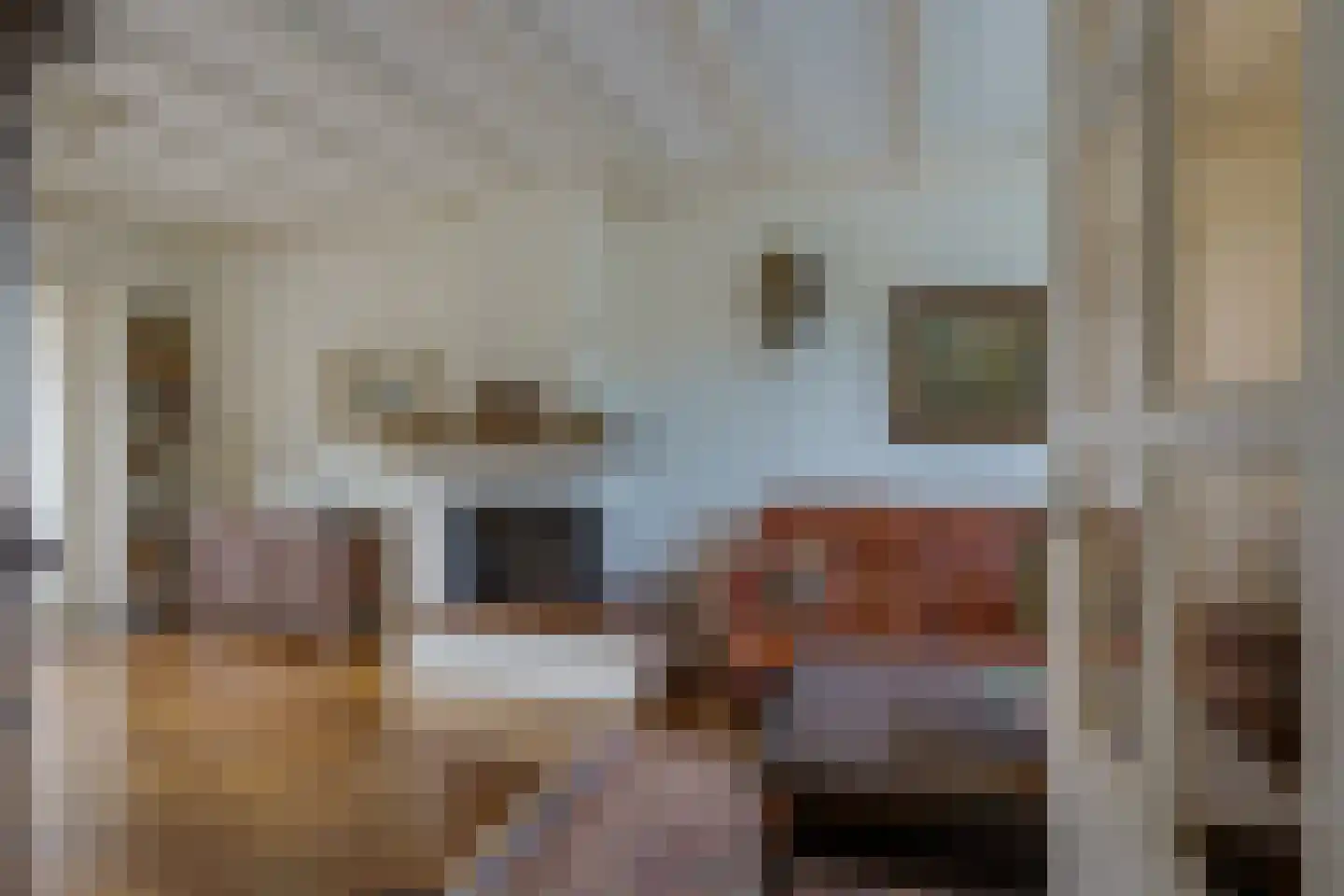Generaal Snijdersstraat 12 Helmond thumbnail 9
